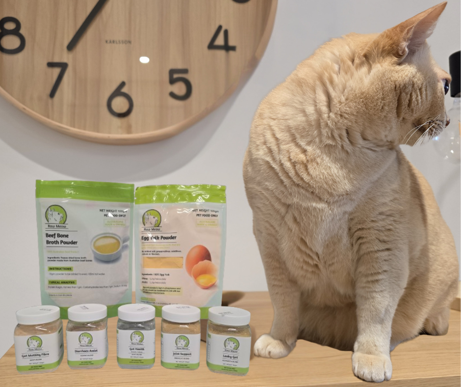 Raw Meow Supplement Range