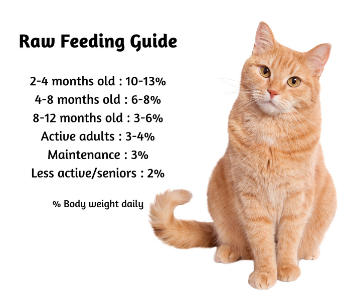 How Much to Feed and How Often?