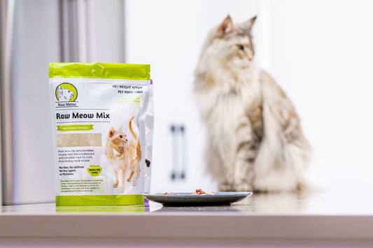 Should I feed dry food with the raw food?