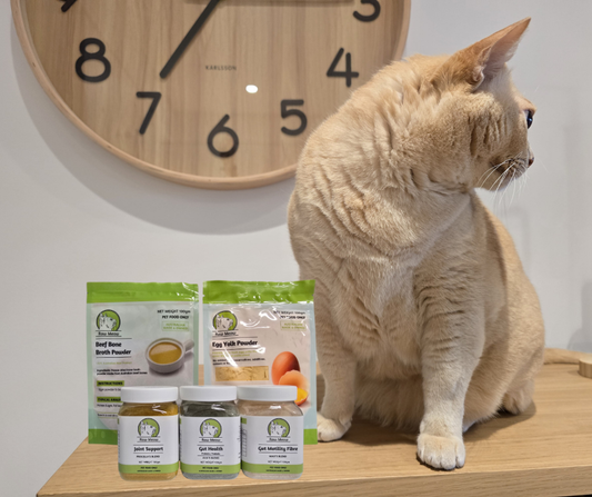 Raw Meow Supplement Range