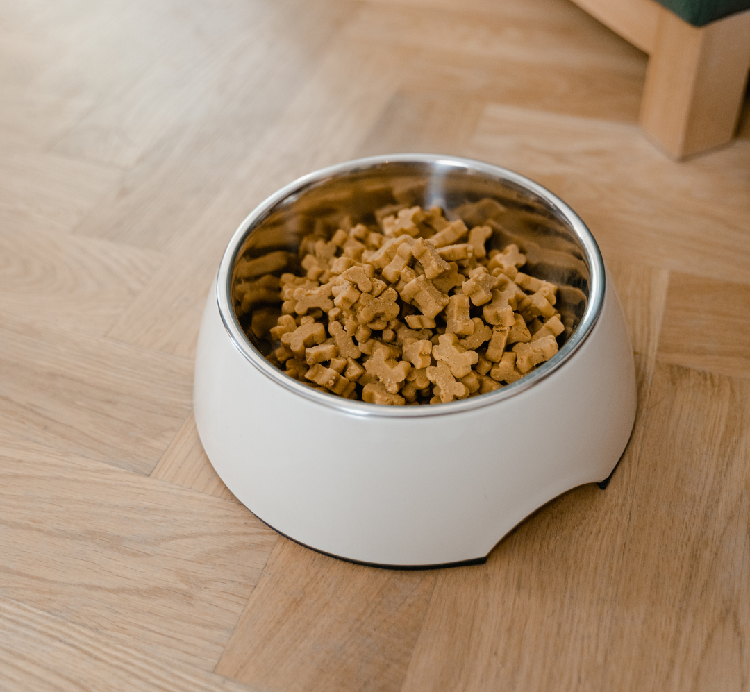 Getting Your Cat Off Kibble: The First Step to Feeding Raw