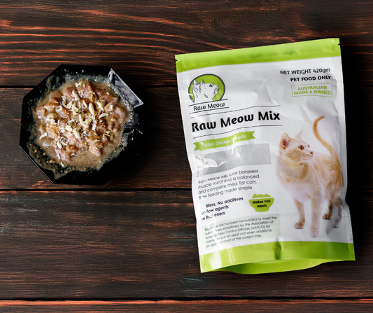 My Cat Got Diarrhoea When We Transitioned to Raw Meow. What Now?