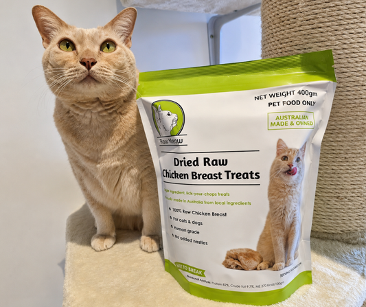 Our Freeze Dried Treats Range: Everything You Need to Know