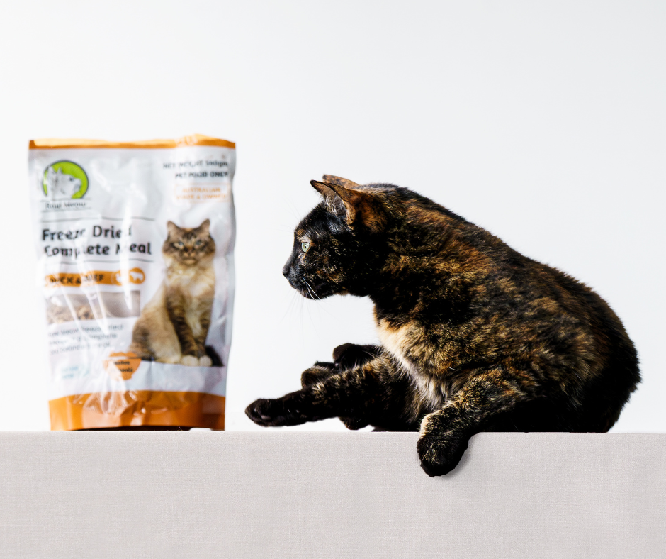 Do Cats Need Carbs?